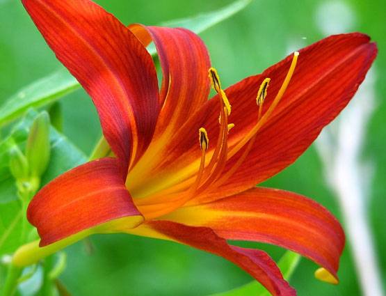 राशि के अनुसार इन आसान उपायों से पाएं नवग्रह दोष से मुक्ति