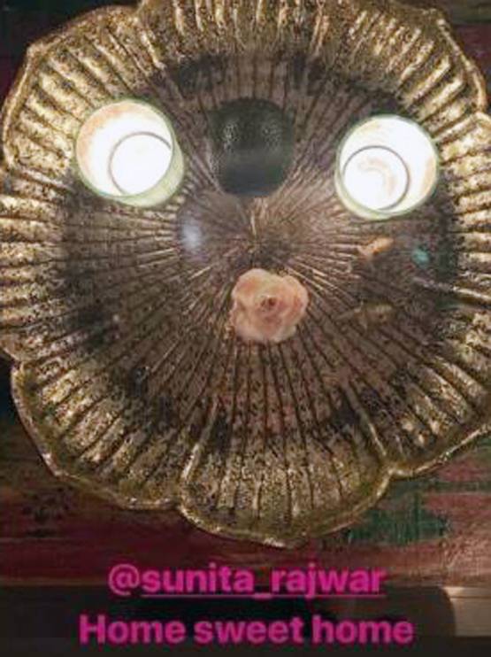 ये रिश्ता क्या कहलाता है की को-स्टार संग हिना का Chill out, Photos