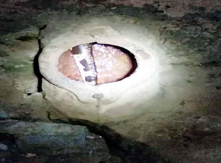 बाथरूम में थी महिला तभी निकला अजगर, चक्कर खाकर गिर पड़ी