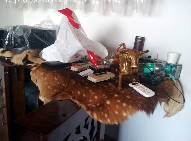 MP: IT रेड में अश्व‍िन शर्मा के घर मिली टाइगर की खाल, अवैध हथियार