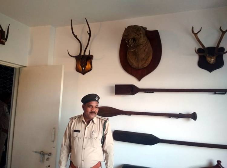 MP: IT रेड में अश्व‍िन शर्मा के घर मिली टाइगर की खाल, अवैध हथियार
