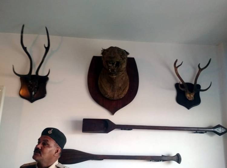 MP: IT रेड में अश्व‍िन शर्मा के घर मिली टाइगर की खाल, अवैध हथियार