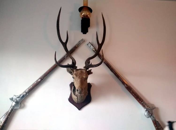 MP: IT रेड में अश्व‍िन शर्मा के घर मिली टाइगर की खाल, अवैध हथियार