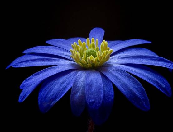 राशि के अनुसार इन आसान उपायों से पाएं नवग्रह दोष से मुक्ति