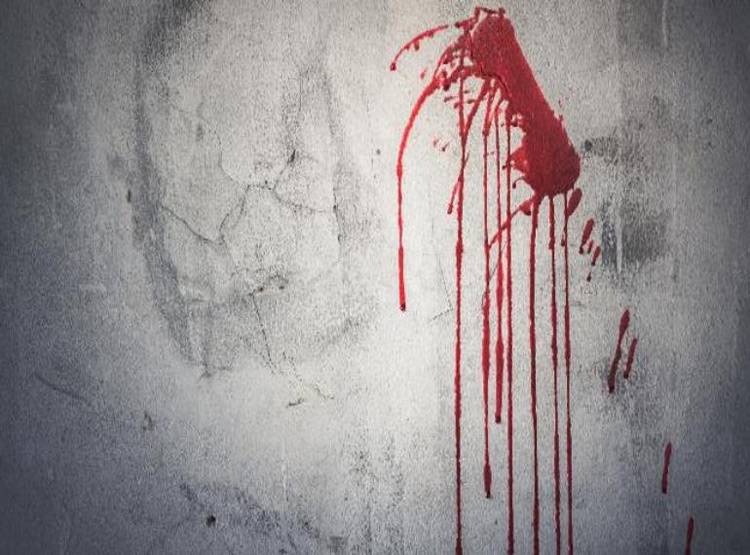 ब्लू फिल्म देखता था पति, पत्नी ने गोली मारकर कर दी हत्या