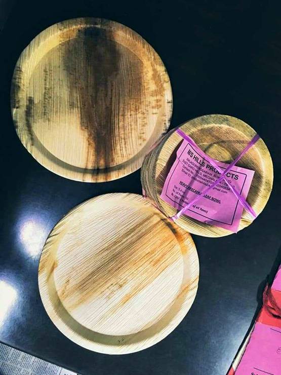 यूट्यूब से सीखा डिस्पोजेबल प्लेट्स बनाना, खोली खुद की कंपनी