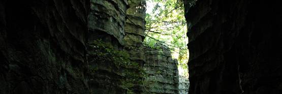 जब भी मिले मौका, एक बार जरूर घूम लेनी चाहिए ये जगहें