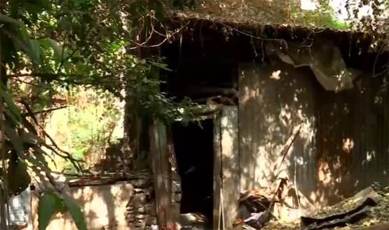 79 साल की महिला प्रोफेसर, क्यों बिना बिजली के जी रही है जिंदगी