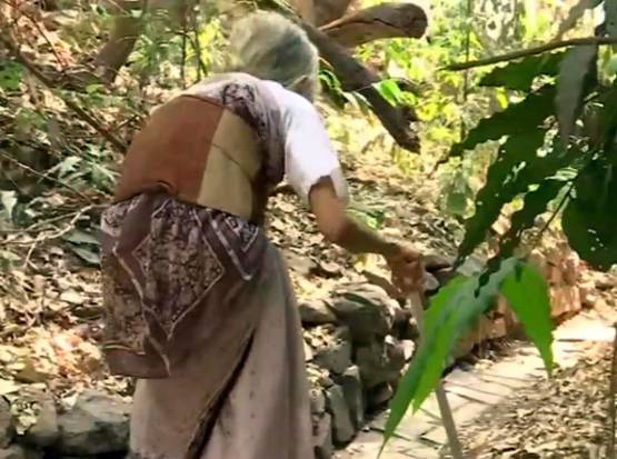 79 साल की महिला प्रोफेसर, क्यों बिना बिजली के जी रही है जिंदगी