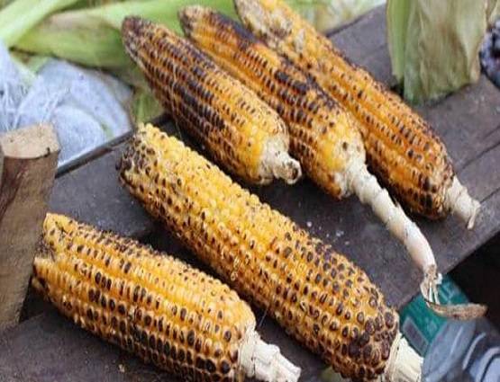 गर्मी के कहर से बचाएंगी ये 5 चीजें, रोजा खोलते वक्त थाली में जरूर करें शामिल