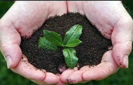 Philipinns की इस राह पर चले DU, तो दिल्ली में बच सकती हैं लाखों जानें