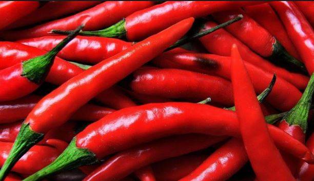 चीन को भारत की मिर्च मंजूर, लेकिन बीफ पर कहा- बाद में सोचेंगे