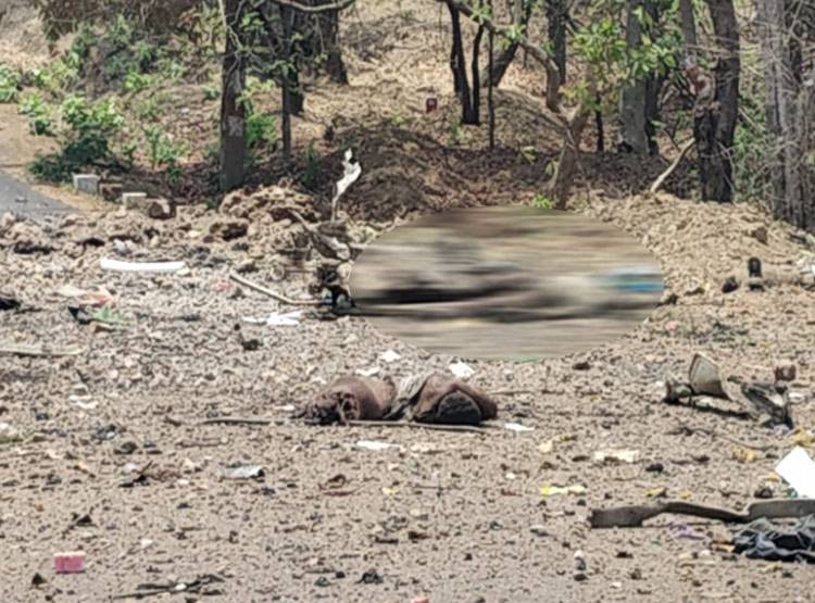 कौन हैं C60 कमांडो, जिनके काफिले को नक्सलियों ने बनाया निशाना