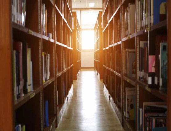 'इश्क के साहित्य' से 'रसगुल्ले' तक, कोलकाता की ये 8 चीजें हैं मशहूर