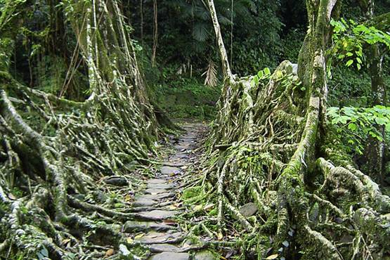 जब भी मिले मौका, एक बार जरूर घूम लेनी चाहिए ये जगहें