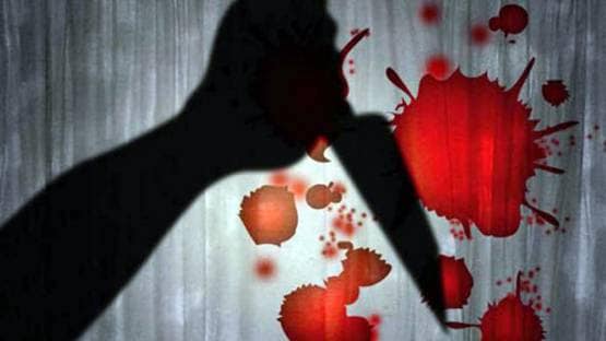 भारतीय मूल की पत्नी को 59 बार चाकू मारकर की हत्या, मिली उम्रकैद