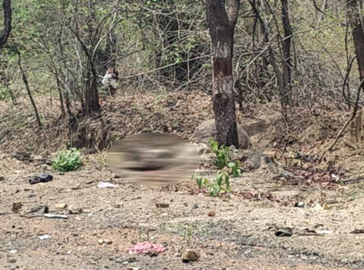 कौन हैं C60 कमांडो, जिनके काफिले को नक्सलियों ने बनाया निशाना