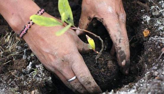 Philipinns की इस राह पर चले DU, तो दिल्ली में बच सकती हैं लाखों जानें