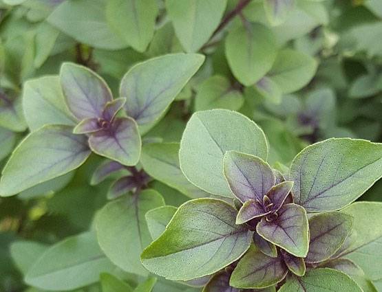 अक्षय तृतीया पर भूलकर भी न करें ये 5 गलतियां