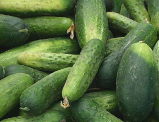 गर्मियों में ये 5 चीजें खाने से नहीं होंगे हीट स्ट्रोक और फूड पॉयजनिंग का शिकार