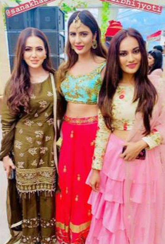 200 करोड़ की शाही शादी में टीवी स्टार्स का जलवा, पहुंचीं ये एक्ट्रेसेज