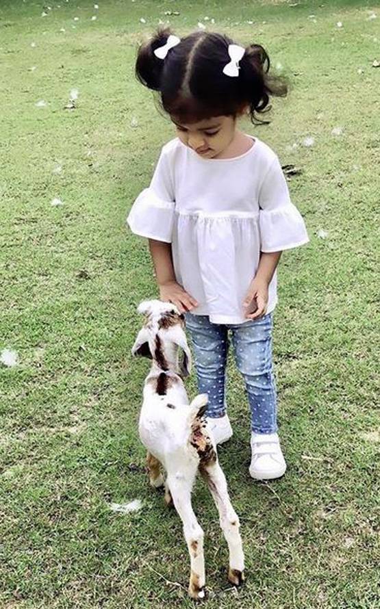 शादी कर बसा लिया घर, सलमान खान की ये एक्ट्रेस अब जीती हैं ऐसी लाइफ