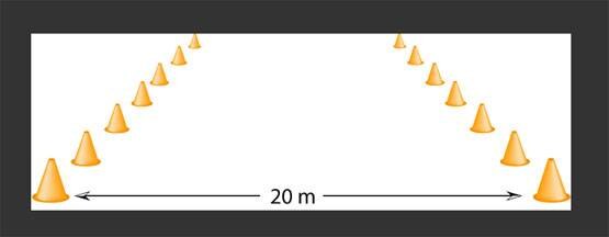 क्रिकेट टीम में खेलने लायक हैं या नहीं, तय करता ये मुश्किल टेस्ट