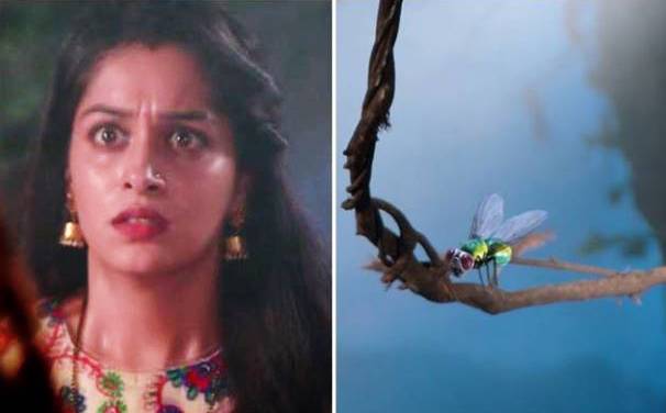 मक्खी से लेकर छिपकली तक, जानवरों के रोल करने पर ट्रोल हुए ये TV स्टार