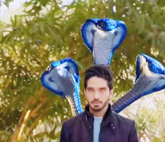 मक्खी से लेकर छिपकली तक, जानवरों के रोल करने पर ट्रोल हुए ये TV स्टार