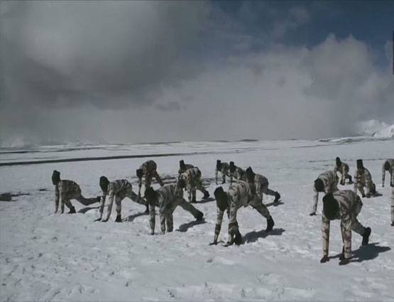 इंसान ही नहीं जानवरों ने भी किया योगासन, देखें अजब-गजब तस्वीरें