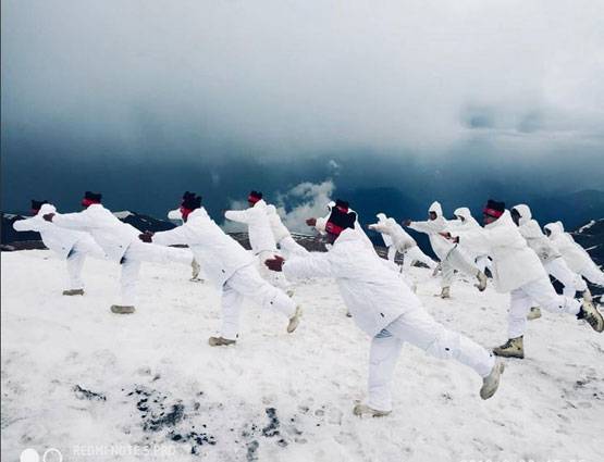 इंसान ही नहीं जानवरों ने भी किया योगासन, देखें अजब-गजब तस्वीरें