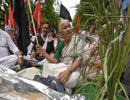 पर्यावरण बचाने में इन महिलाओं का बड़ा योगदान, एक ने तो जान तक गंवाई