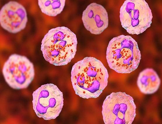 आखिर क्या है चमकी बुखार? जानें लक्षण, बचाव और सावधानियां