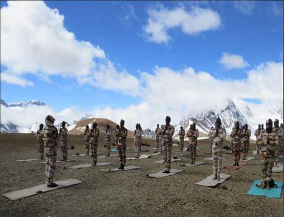 इंसान ही नहीं जानवरों ने भी किया योगासन, देखें अजब-गजब तस्वीरें