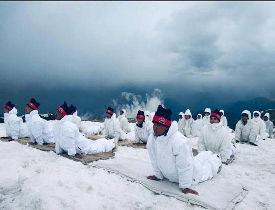 इंसान ही नहीं जानवरों ने भी किया योगासन, देखें अजब-गजब तस्वीरें