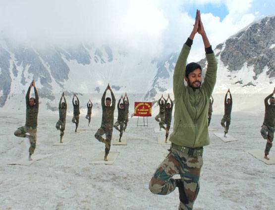 इंसान ही नहीं जानवरों ने भी किया योगासन, देखें अजब-गजब तस्वीरें