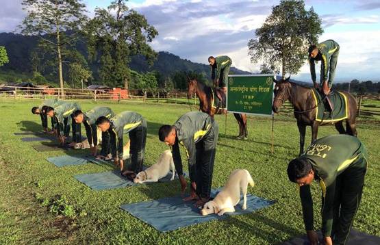सेना की डॉग यूनिट में होती हैं ये खास ब्रीड, ऐसे होती है भर्ती