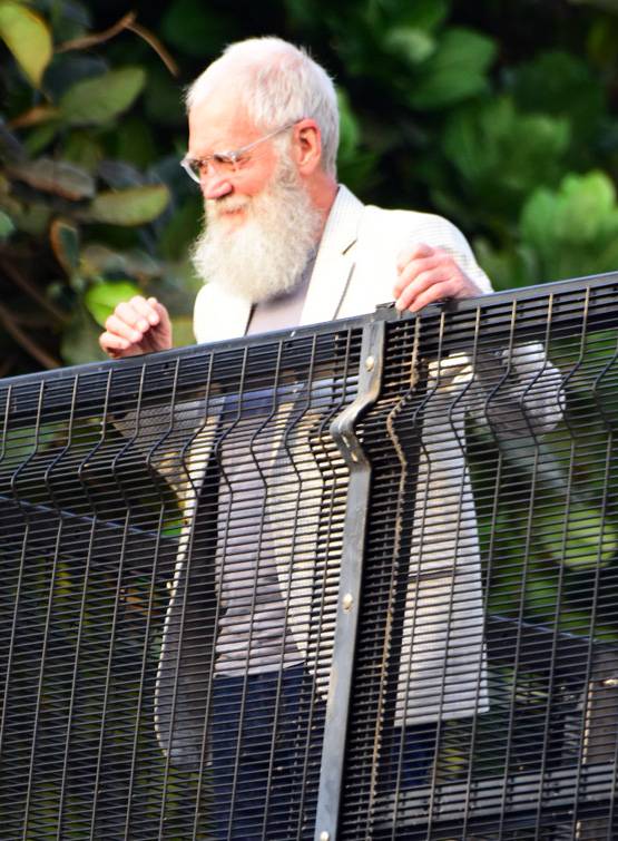 ईद के मौके पर मन्नत की टेर‍िस पर शाहरुख संग द‍िखा ये शख्स कौन?