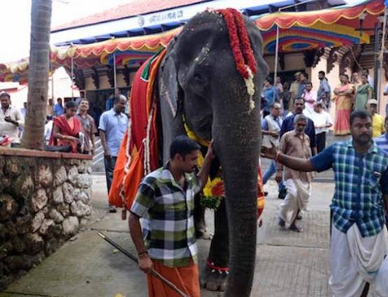 गुरुवायूर मंदिर: दक्षिण भारत का द्वारका, 5000 साल का इतिहास