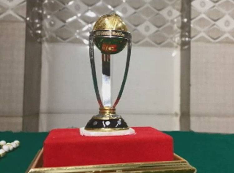 WC का खुमार: इस शख्स ने बना दिया सोने का बैट, सोने की बॉल