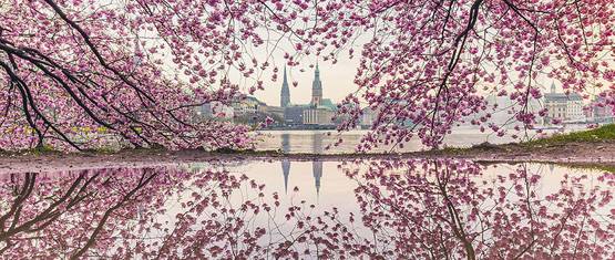 दुनिया के 10 सबसे साफ और प्रदूषण मुक्त शहर, यहां जिंदगी खुशनुमा है