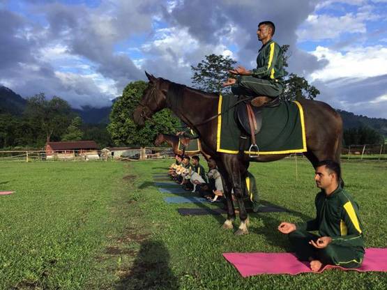 सेना की डॉग यूनिट में होती हैं ये खास ब्रीड, ऐसे होती है भर्ती