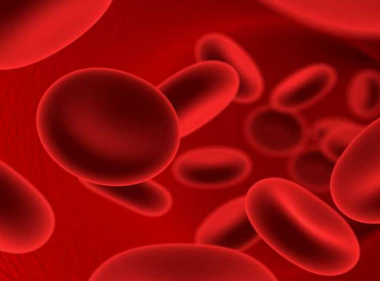 देवर को वश में करने के लिए अपना खून प‍िलाकर टोटका करती थी भाभी