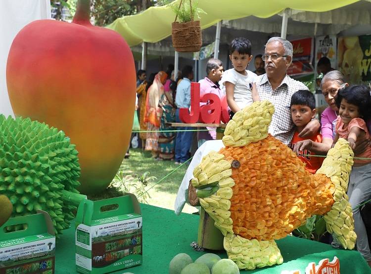 एक आम...1200 रुपये दाम और 'नूरजहां' है नाम