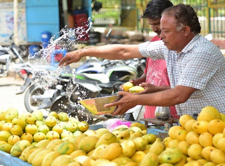 एक आम...1200 रुपये दाम और 'नूरजहां' है नाम