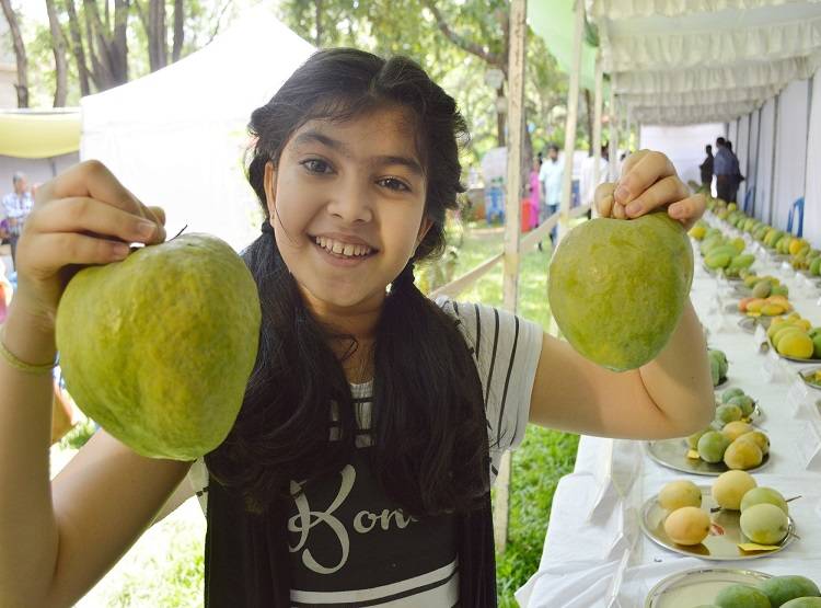 एक आम...1200 रुपये दाम और 'नूरजहां' है नाम