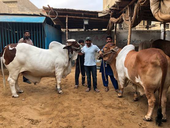 PAK कप्तान के मामा ने किया भारत का समर्थन, कारण जान हो जाएंगे हैरान