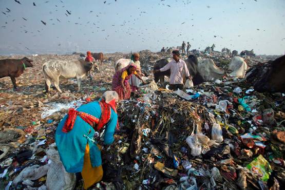 कुतुब मीनार से ऊंचा होने वाला है गाजीपुर में कचरे का ढेर