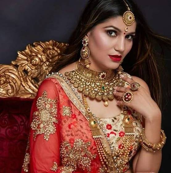 बचपन में इंस्पेक्टर बनना चाहती थीं सपना चौधरी, जानें क्या उनका असली नाम?