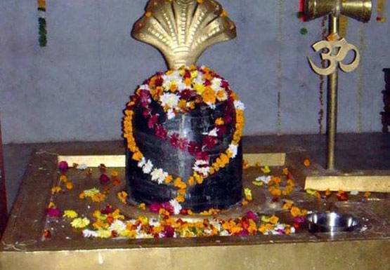 नौकरी को लेकर बढ़ रही चिंता? इस सावन ये उपाय करने से दूर होंगे संकट